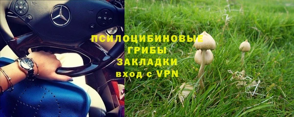 мяу мяу мука Балабаново