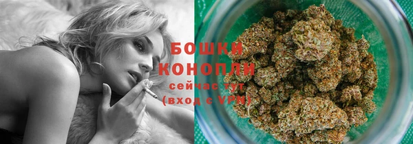 стафф Сосновый Бор