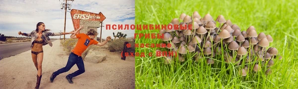 jwh Армянск